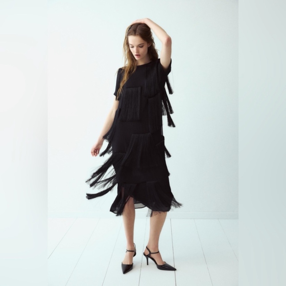 NWOT Zara ZW Collection Black Fringed Midi Dress
Sheer Overlay Tassel Sz S 2025